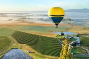 Yarra Valley and Dandenong Ranges