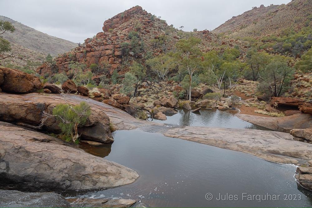 Alalkanya Gorge, APY Lands, South Australia. Photo: Jules Farquhar.