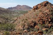 Alalkanya Gorge, APY Land, Liopholis aputja’s habitat. Photo: Jules Farquhar.