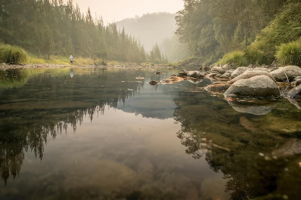 Symbio-Wildlife-ParkBellinger-River1000pxw