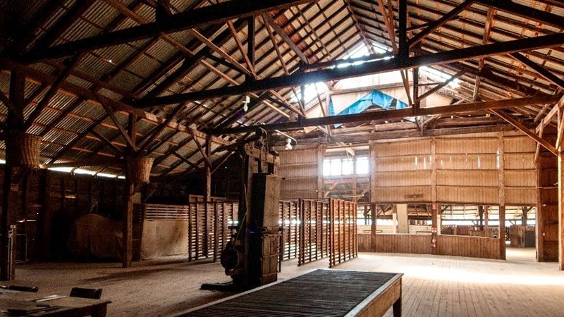 Supplied-Clare-LeeWindy-Station-woolshed-circa-1901-inner800pxw