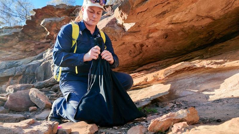 Alex-GoreDBCA-MediaReleasing-wallabies-in-Kalbarri1000pxw