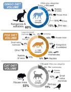 Volume of prey categories in the diet of dingoes, foxes and cats in the Big Desert-Wyperfeld-Ngarkat complex. Image: Illustration provided by Rachel Mason. Graphic showing the volume of prey categories in dingoes foxes and cats diet in Big-Desert-Wyperfeld-Ngarkat park complex.
